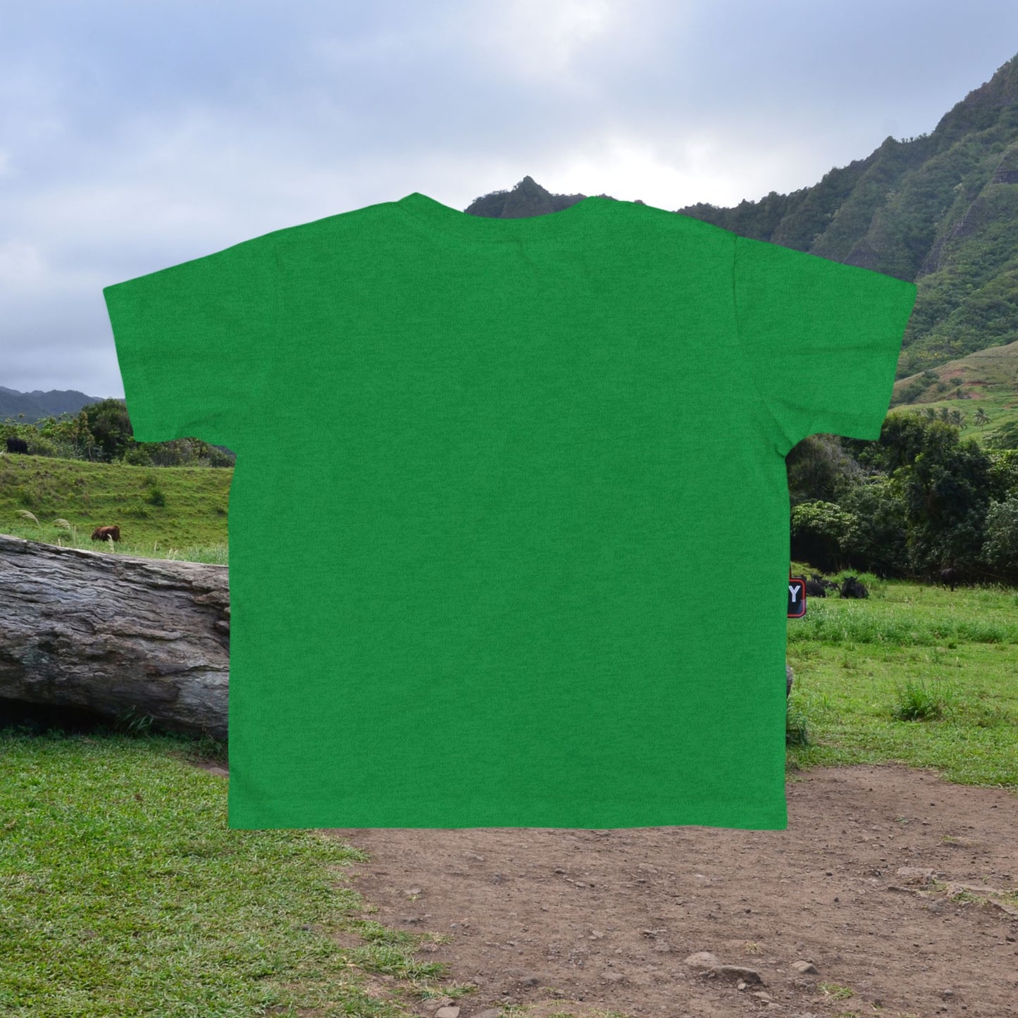 Lani the relaxed Turtle Toddler T-Shirt