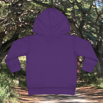 Toddler Fleece Hoodie - Nalu and Friends