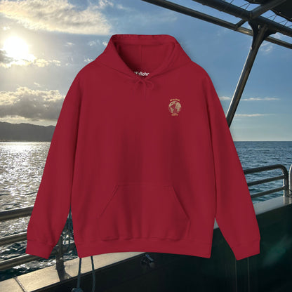 M'Aloha Earth - Compass Men's Hoodie