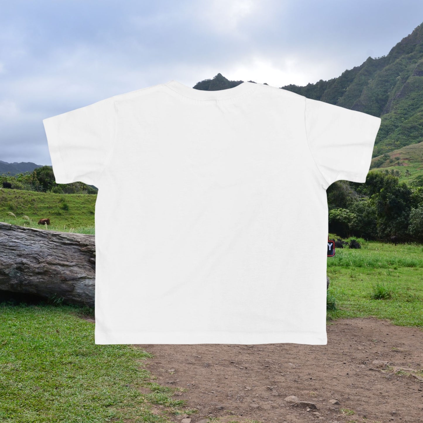 Nalu the Turtle Toddler T-Shirt