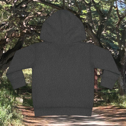 Toddler Fleece Hoodie - Nalu and Friends