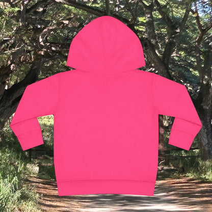 Toddler Fleece Hoodie - Nalu and Friends