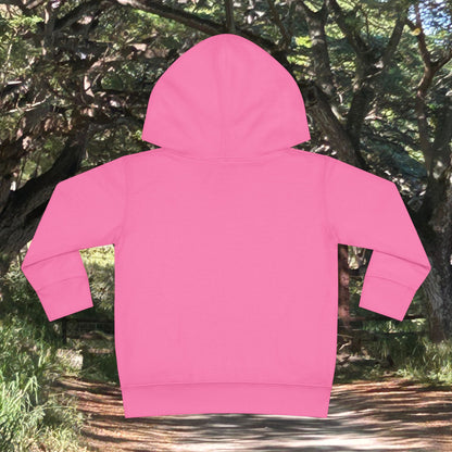 Toddler Fleece Hoodie - Nalu and Friends