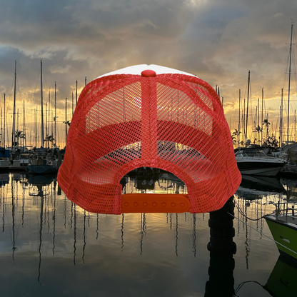 Earth- Mesh Cap