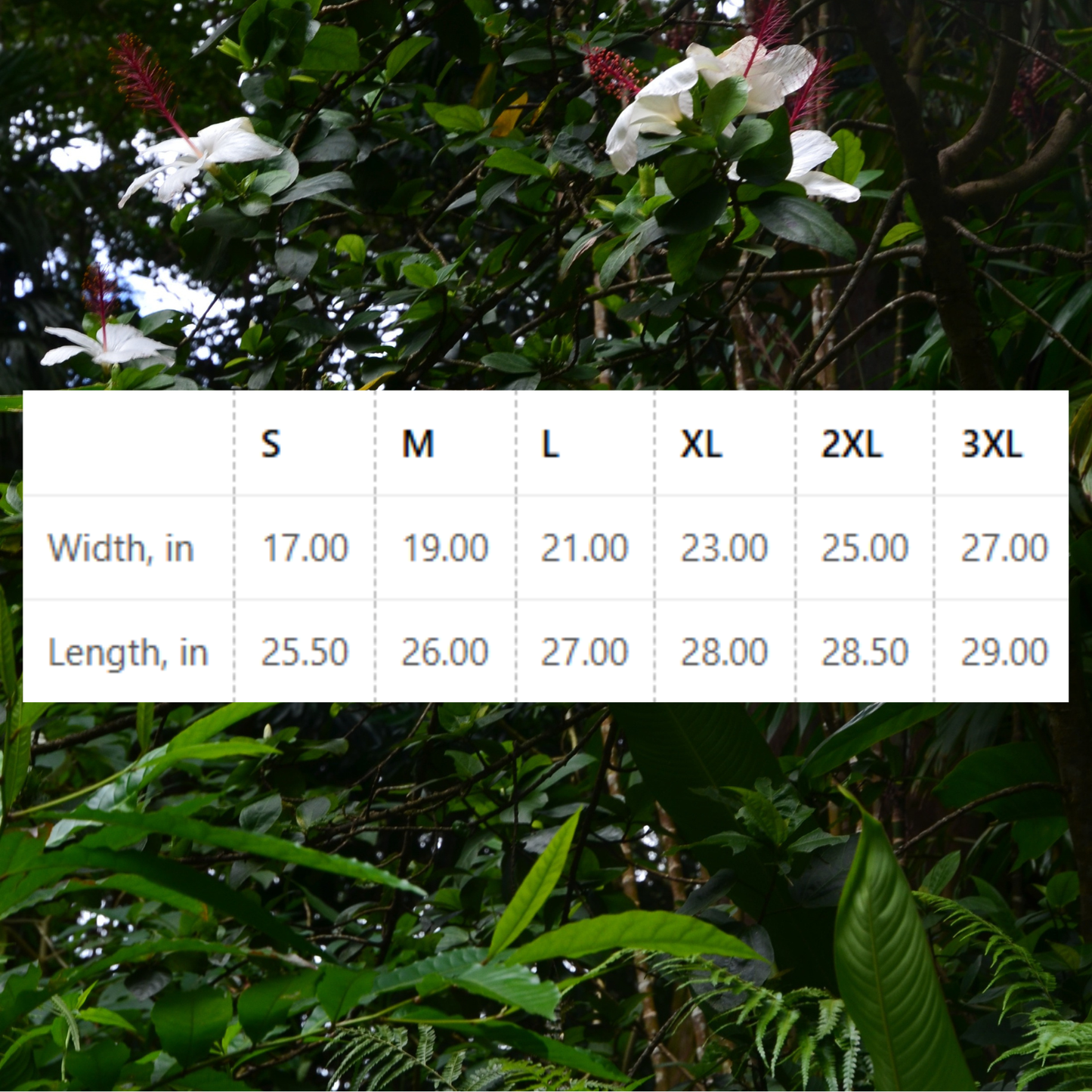 Hawaii Sunset Women's Tee