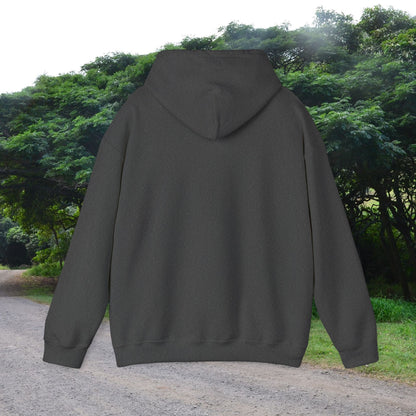 Path of the Mainland Hoodie