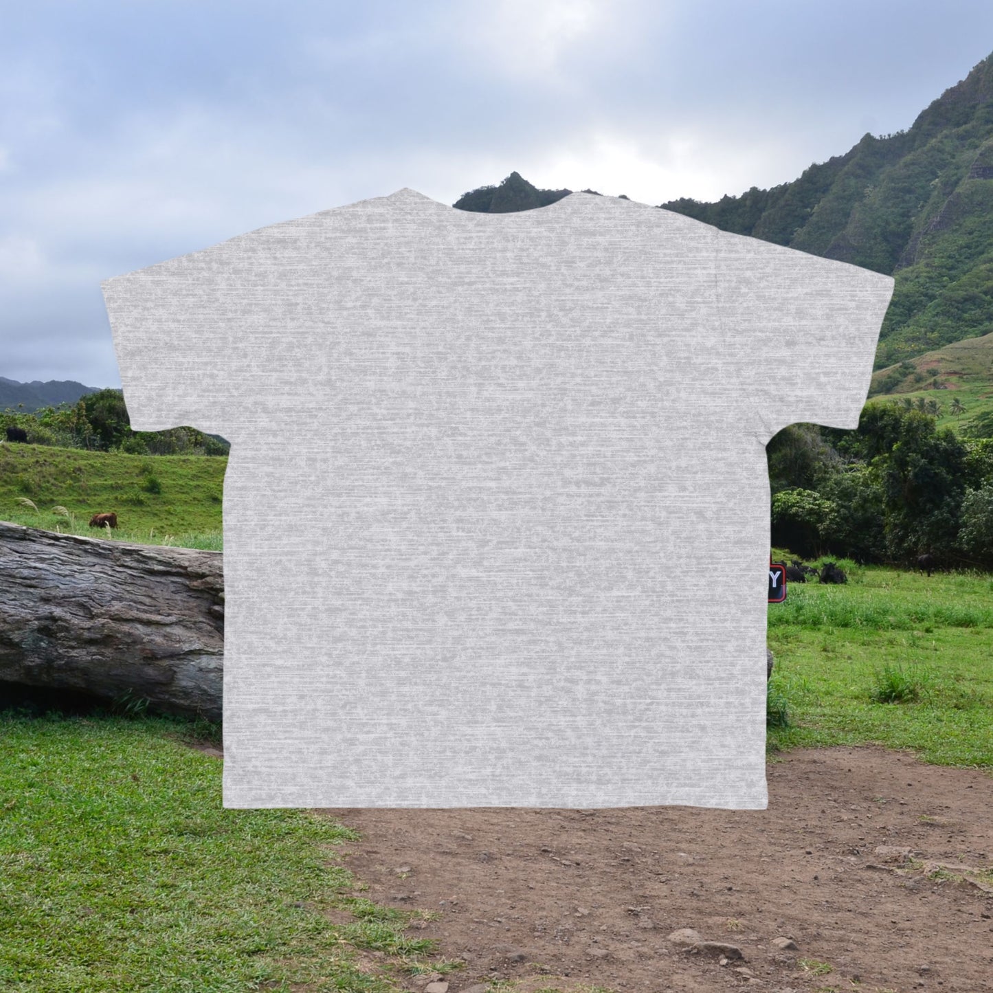 Nalu the Turtle Toddler T-Shirt