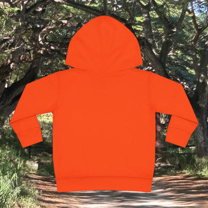 Toddler Fleece Hoodie - Surf Turtles